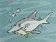 Careybear's avatar - sharkmuncheravatar.jpg