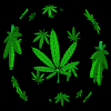 pimpshit55's avatar - myspace-graphics-boys-007.gif
