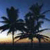 coolrunnings's avatar - av77.gif