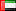 UAE flag