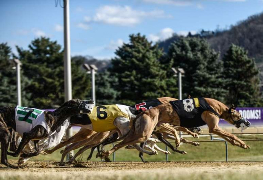 Wheeling Island Hotel Casino Racetrack