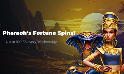 bonuses-and-promotions