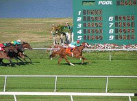 The Silks Poker Room Review Of Tampa Bay Downs Racing Poker Golf